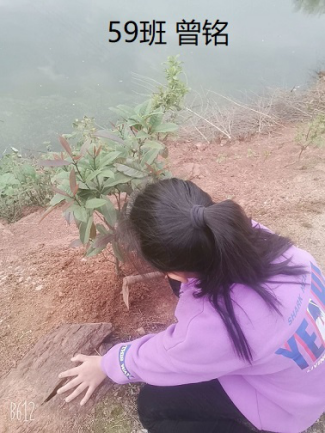 衡陽市蒸湘區(qū)仁愛實驗中學|衡陽全日制|全寄宿|全封閉|半月假制初級中學